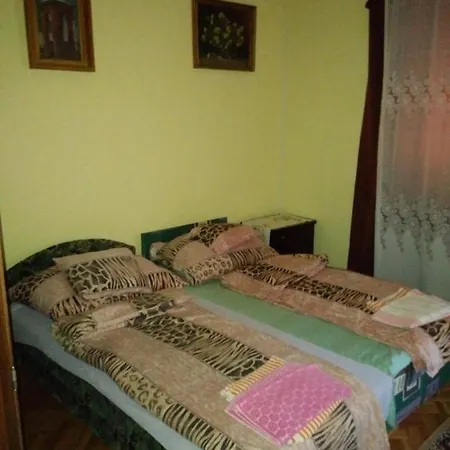 Balogh Vendeghaz * Szeged