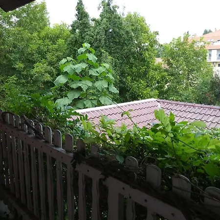 Гостевой дом Balogh Vendeghaz