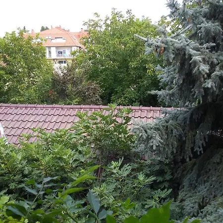 Balogh Vendeghaz Gasthuis *